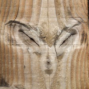 Zyeux de biche