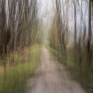 Impressions