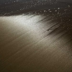 La mer d’or