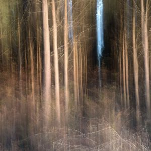 Apparition de la lumière