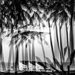 Evasion