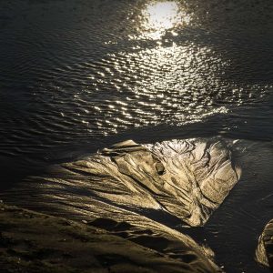 L’or de la mer