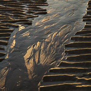 L’or des sables