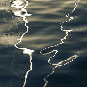 Volutes